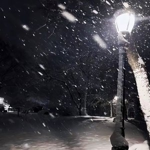 夜雨（翻自 比翼鸟）
