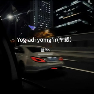 Yog'adi yomg'ir(车载）