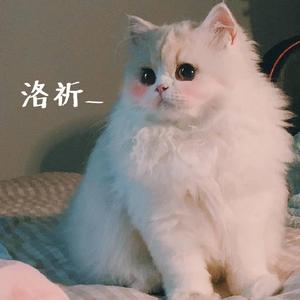 恋愛サーキュレーション