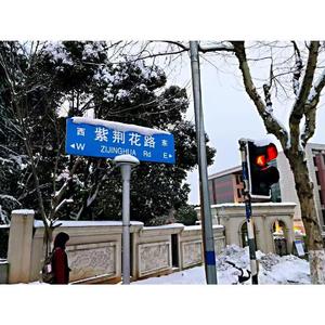 等一场紫荆花开（纪念版）