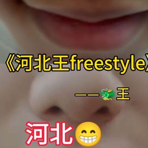 河北王freestyle