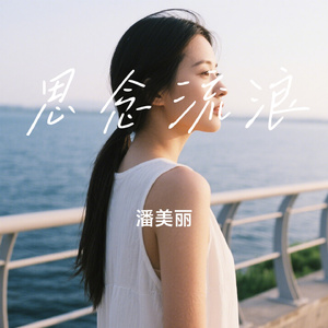 思念流浪