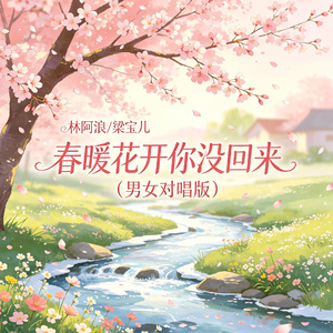 春暖花开你没回来（男女对唱版）