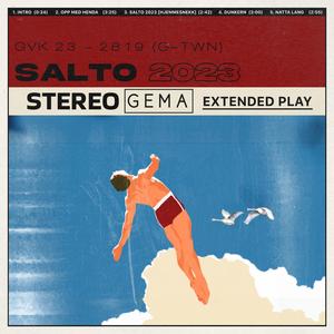 Salto 2023 (Hjemmesnekk)