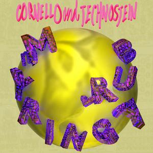 Four Weeks Anaconda (Stereo Mix)