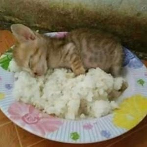 The Piece Maker (sped up)