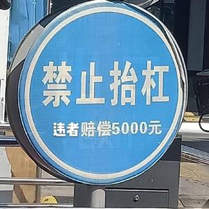 金钟仁庆生《爱的使命》（翻自 金民胜）