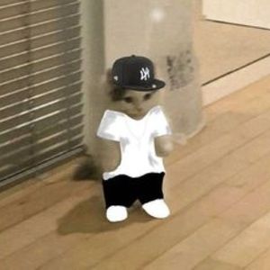 可爱小猫gangsta metro boomin type beat