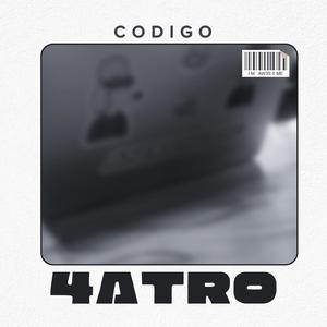 Codigo