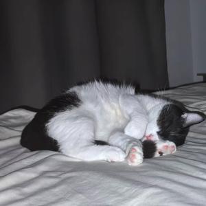 没有人能够比我们更接近对方