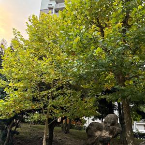 君にそばにいてほしい