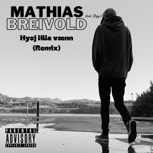 Hysj lille vænn (Remix)