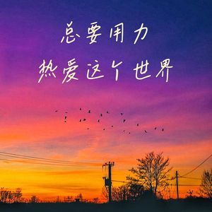 总要用力的热爱这世界