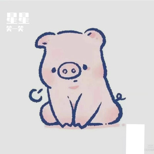 送给星星的歌