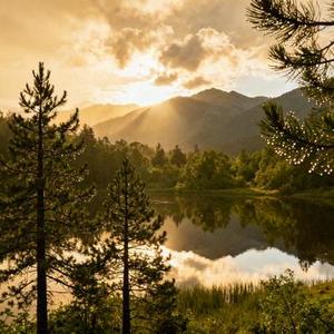 若不是昨夜一滴泪 (Cover 火锅司令)