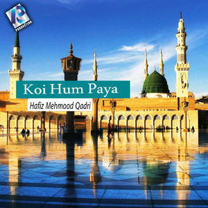 Koi Hum Paya