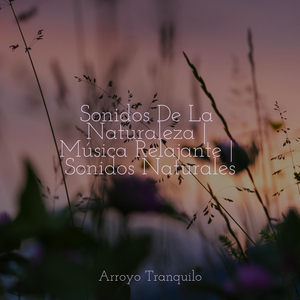 Palpitar del Bosque