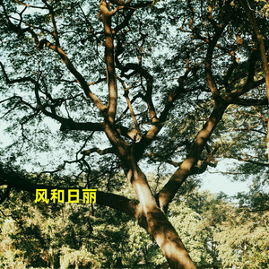 孤独的人总是晚回家