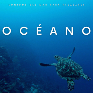 Experto En Oceanografía