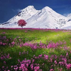 轻音乐助眠.暧昧关系（纯音乐）