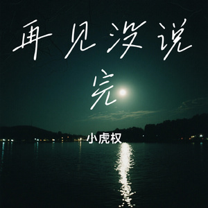 再见没说完