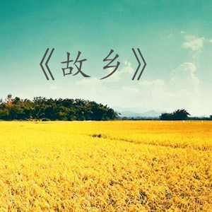 《故乡》民乐合奏-春运高铁回家过年