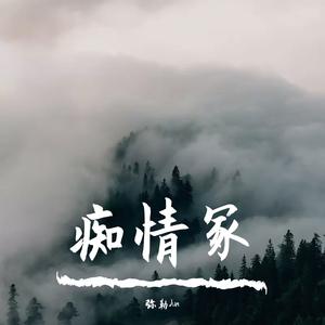 痴情冢（cover贾青）《天龙八部》片尾曲
