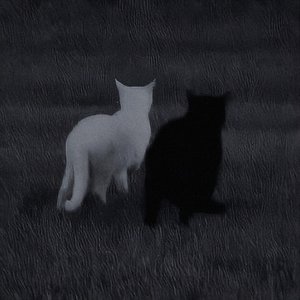 Cuando Estoy Contigo