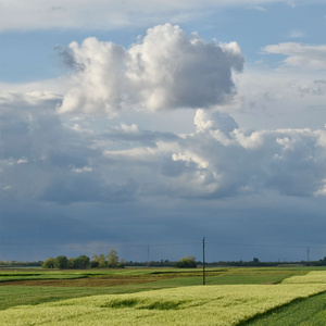 失眠必备高效睡眠的自然雨声 舒缓钢琴曲