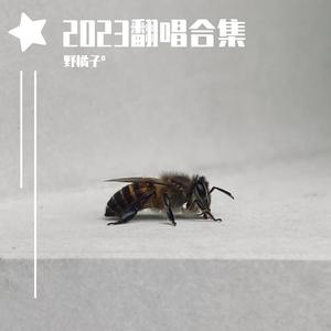 大雨还在下（片段）