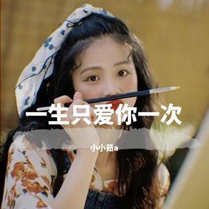 一生只爱你一次 （飙升榜第一名bgm）