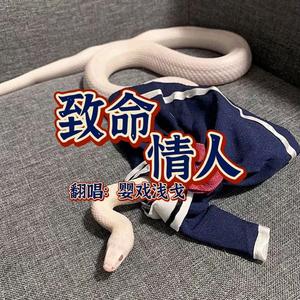 致命情人（嘤嘤怪版）