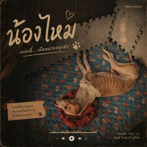 ขอบคุณที่ไม่ทิ้งกัน