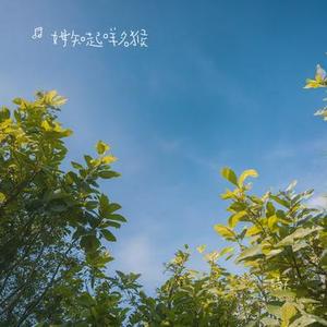 心事沉入黑夜