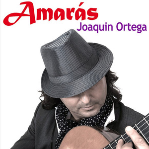 Elche Sol y Palmeras