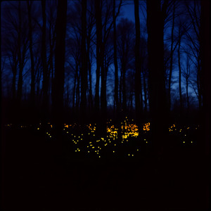 Gas light-Mood Flip