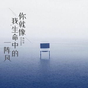 你就像我生命中的一阵风