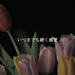 Wonderful Duo - Vibe for Favorite Coffee