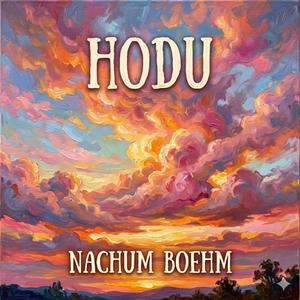 Hodu