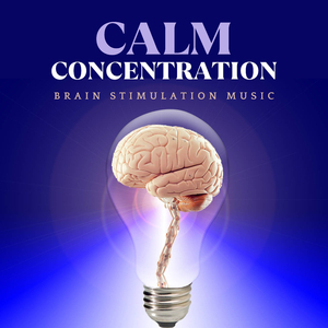 Concentration Music