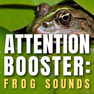 Frog Sounds