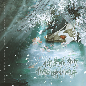 你是我年少求剑时刻的舟