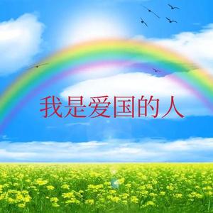 我是爱国的人