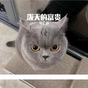 怎样活着才是有意义的