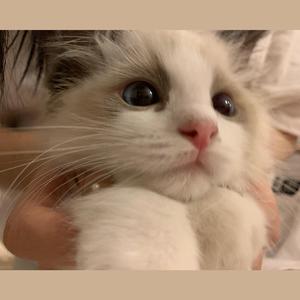 都市丽人生存报告