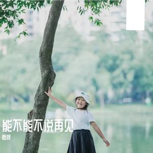 能不能不说再见 伴奏