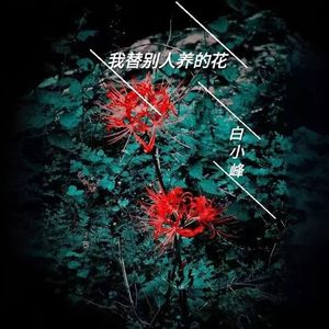 我替别人养的花