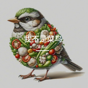 我不是菜鸟 伴奏