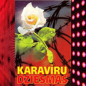 Baltā roze