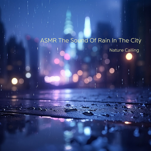 편안한 수면을 위한 빗소리